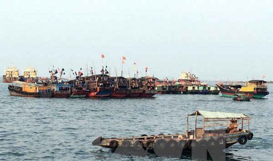 Trung Quốc giảm lượng cá đánh bắt để bảo vệ hệ sinh thái biển