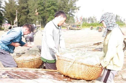 Ngư dân trúng đậm "lộc trời" đầu năm