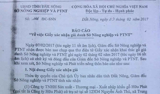 Đắk Nông: Giả danh văn bản của Sở NN&PTNT, "âm mưu" khai thác gỗ trái phép