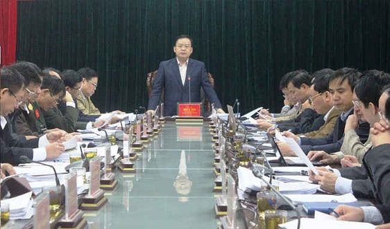 Điện Biên: Nâng mức hỗ trợ người dân khi trồng rừng sản xuất