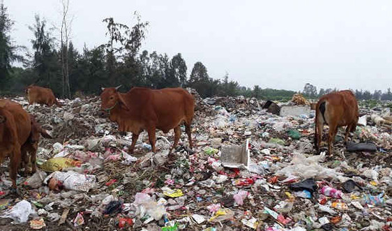 Nghệ An: Ô nhiễm nghiêm trọng ở bãi rác Diễn Ngọc