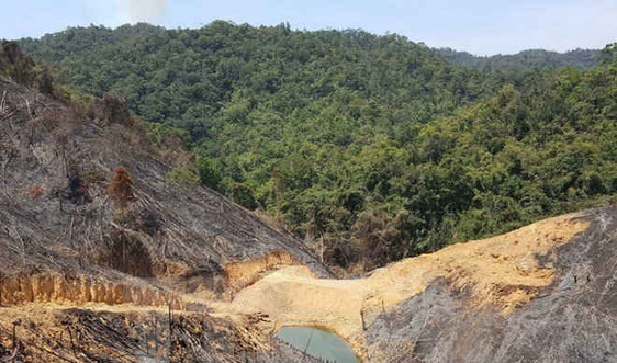 Xử lý nghiêm các đối tượng hủy hoại rừng quy mô lớn tại Đắk Nông