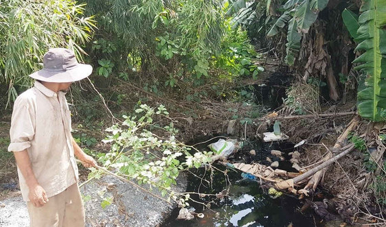 Bãi rác Khánh Sơn (Đà Nẵng): Nước rỉ rác ra môi trường, dân khốn khổ