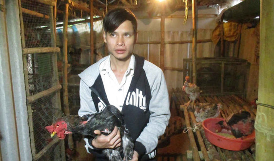 Thừa Thiên-Huế: Chuyện những bạn trẻ ở lại quê lập nghiệp bằng nghề nông
