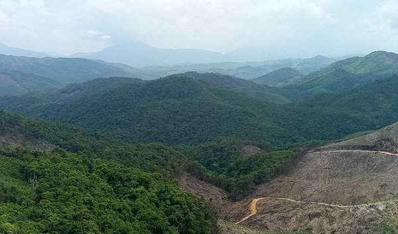 Quảng Bình: Gần 45 ha rừng tự nhiên khu vực Bà Đà bị chặt phá