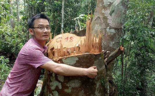 Nghệ An: Hội nghị giao ban báo chí "nóng" lên vì chuyện phá rừng