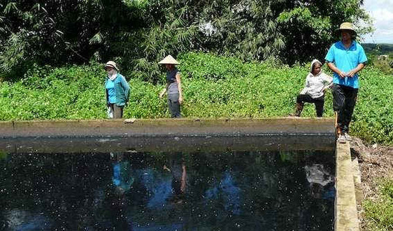 Đắk Lắk: Dân tố Nhà máy chế biến mủ cao su gây ô nhiễm