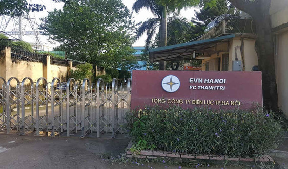 Hà Nội: Công ty điện lực Thanh Trì lên tiếng vụ 5 con trâu bị điện giật chết