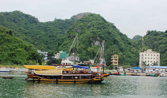 Hải Phòng: Thẩm định Quy hoạch địa điểm neo đậu tàu du lịch lưu trú qua đêm trên vịnh Cát Bà
