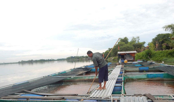 Thừa Thiên Huế: Ngạt thở vì Cty chế biến thủy sản gây ô nhiễm