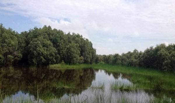 Long An: Thành lập rừng đặc dụng Khu Bảo tồn Đất ngập nước Láng Sen