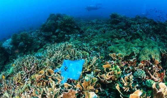 LHQ cam kết ngăn chặn rác thải chất dẻo trên đại dương