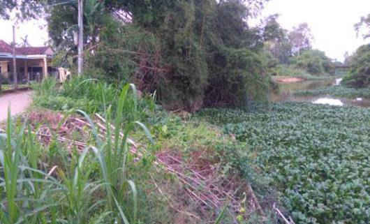 Quảng Ngãi: 9 tỷ đồng đầu tư xây kè chống sạt lở bờ sông Phủ