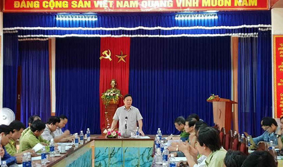 Lãnh đạo tỉnh Quảng Nam kiểm tra thực tế hiện trường vụ phá rừng phòng hộ huyện Đông Giang