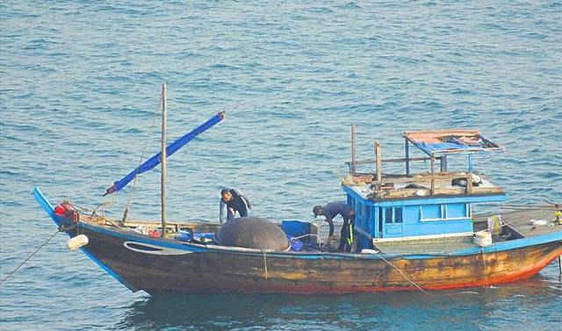 Điều tra tàu gỗ dùng thuốc nổ đánh bắt cá trên vịnh Đà Nẵng