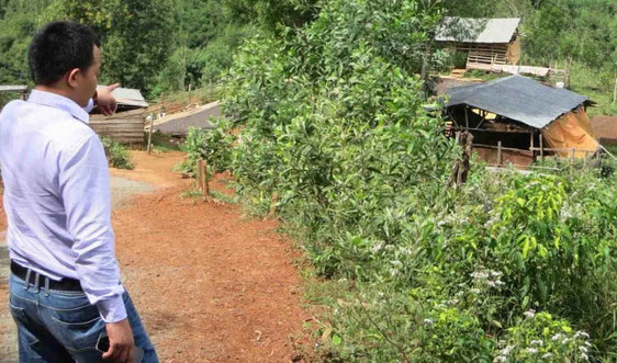 Đắk Nông: Kỷ luật khiển trách Ban thường vụ Huyện ủy Đắk G’Long liên quan đến sai phạm về quản lý đất rừng