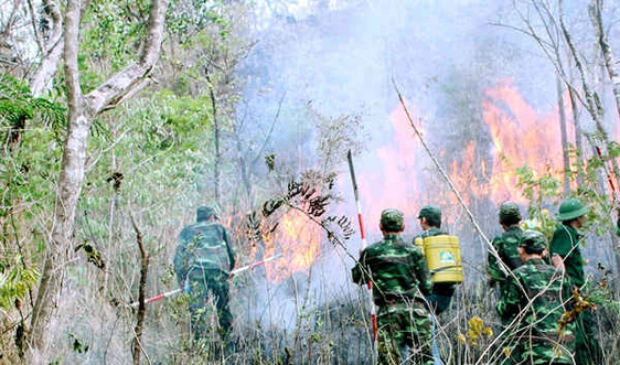 Tháng 5 - đỉnh điểm nguy cơ cháy rừng ở Tây Nguyên