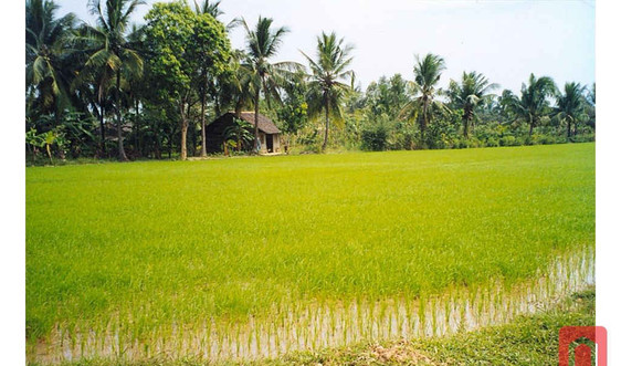 Hỗ trợ việc làm cho người dân bị thu hồi đất tại tỉnh Vĩnh Long