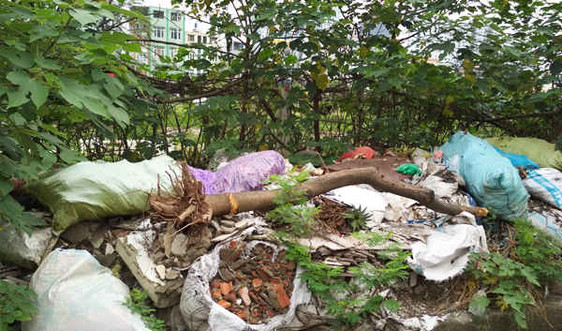 Hà Nội: Rác thải tràn ngập đường Bằng Liệt kéo dài