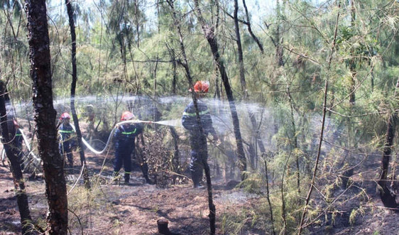 Quảng Nam: Khống chế kịp thời cháy rừng thông Tam Tiến