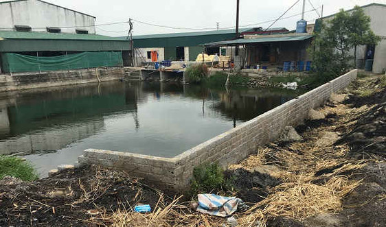 Thanh Hóa: Doanh nghiệp sản xuất mây tre đan gây ô nhiễm bị “tuýt còi”, cần giám sát chặt chẽ