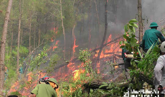 Nghệ An: 2 ngày xảy ra 4 vụ cháy rừng, thiệt hại gần 20 ha