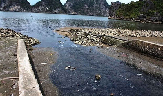 Quảng Ninh: Kinh hoàng nước thải sinh hoạt đổ thẳng ra vịnh Hạ Long