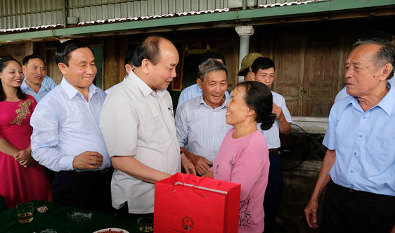 Thủ tướng kiểm tra mô hình nông thôn mới kiểu mẫu ở Hà Tĩnh