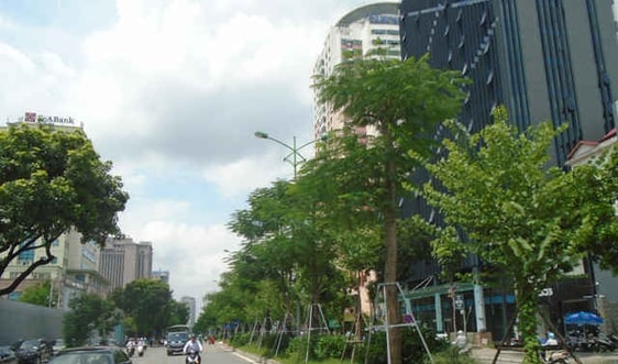 Hà Nội: Hiệu quả với môi trường xanh trong lòng đô thị