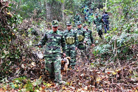 Quảng Nam: Xử phạt hàng trăm vụ vi phạm Luật Biên giới quốc gia