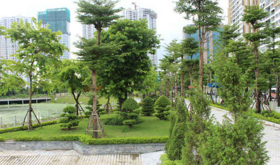 Công viên hồ điều hòa Nhân Chính đi vào sử dụng: Thêm không gian đô thị xanh