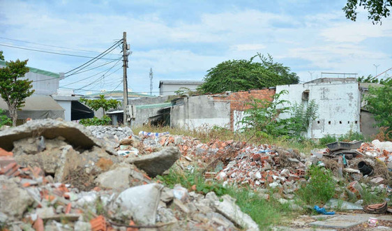 Đà Nẵng: Ô nhiễm bãi tập kết rác dưới chân cầu vượt nghìn tỷ