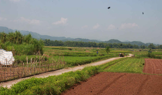 Yên Bái: Người dân cần cân nhắc khi sử dụng nước sông Thao