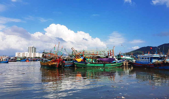 Đà Nẵng: Chuyện ô nhiễm môi trường kéo dài ở Âu thuyền Thọ Quang