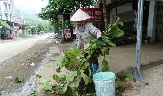 Sơn La: Tỷ lệ thu gom chất thải rắn nông thôn đạt trên 53%