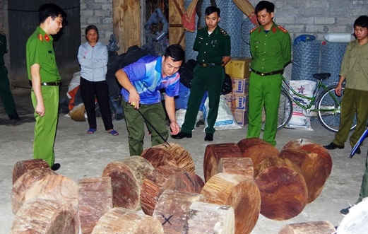 Mật phục bắt đối tượng vận chuyển gỗ lậu