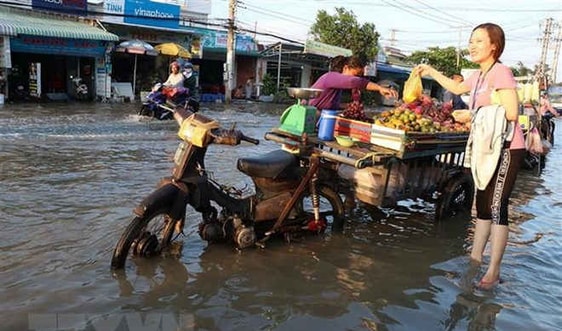 Chủ động ứng phó với triều cường ở ĐBSCL, vùng áp thấp trên Biển Đông
