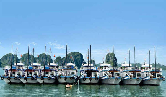 Quảng Ninh: Giải nỗi lo về phí môi trường và nỗi lo bị dừng tàu du lịch