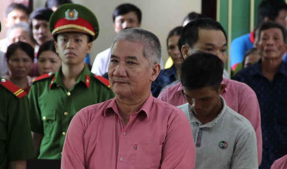 Bình Định: 9 bị cáo “cạo trọc” rừng xanh lĩnh án 81 năm tù