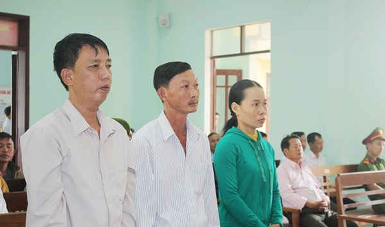 Quảng Nam: Tuyên án 2 vợ chồng và 1 cán bộ kiểm lâm vì phá rừng phòng hộ
