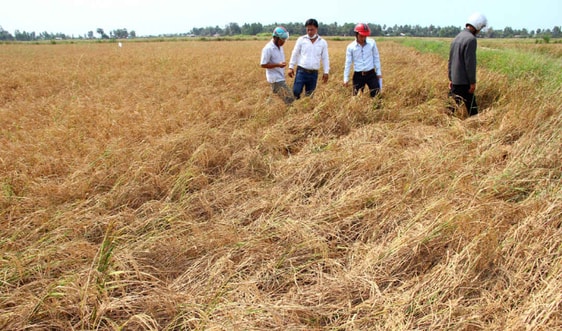 El Nino gây thiếu nước vào mùa khô 2018 - 2019