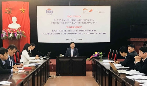 Quyền và lợi ích của hộ nông dân trong tích tụ và tập trung ruộng đất