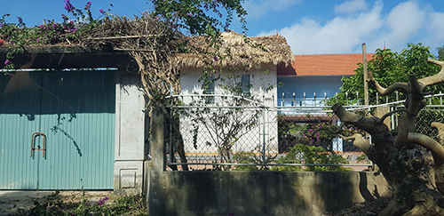 Thái Bình: Biệt thự nhà vườn nằm giữa rừng ngập mặn ngoài đê biển