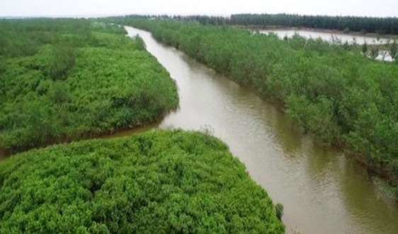 Thái Bình:    Thành lập Khu Bảo tồn đất ngập nước huyện Thái Thụy