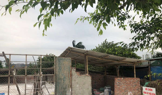 Long Biên – Hà Nội: Năm 2020 không còn cơ sở chăn nuôi thương mại trong khu dân cư