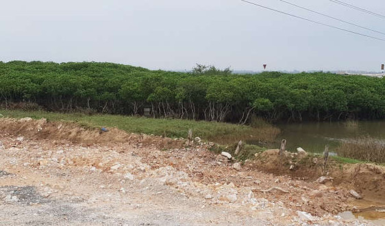 Hồi âm bài: “Thanh Hóa “Ngang nhiên” cấp phép xây dựng nhà ở vào khu quy hoạch trồng cây xanh: UBND huyện Tĩnh Gia thu hồi giấy phép xây dựng