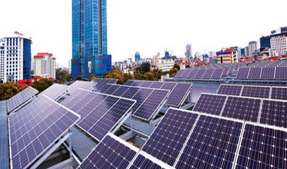 Bà Rịa - Vũng Tàu: Sắp đầu tư 2 dự án điện mặt trời quy mô lớn