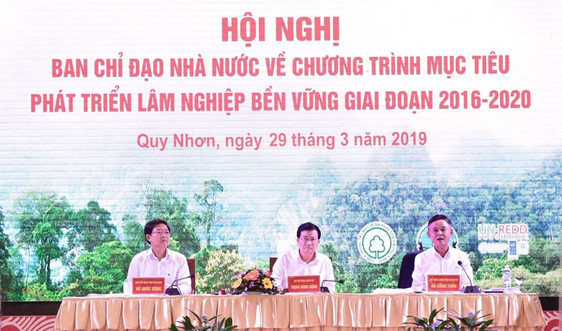 Phó Thủ tướng Trịnh Đình Dũng chỉ đạo Chương trình mục tiêu phát triển lâm nghiệp bền vững giai đoạn 2016-2020