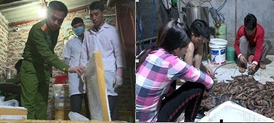 Cảnh sát Môi trường Hà Nội đột kích cơ sở bơm tạp chất vào tôm