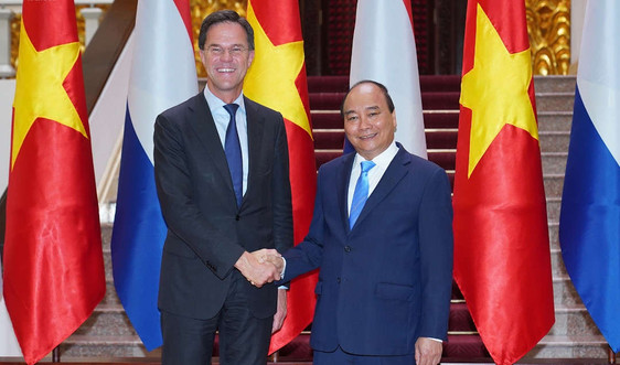Việt Nam và Hà Lan nhất trí xây dựng quan hệ Đối tác toàn diện